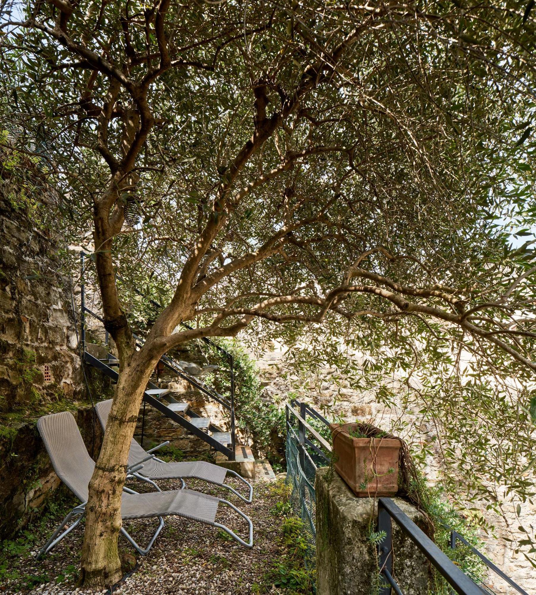 Giardino Segreto, In Centro Lägenhet Trieste Exteriör bild